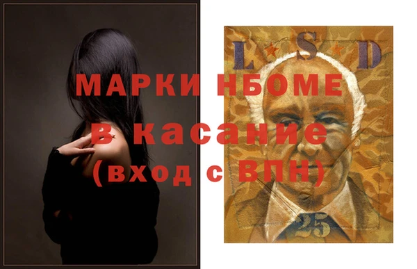 стафф Новодвинск