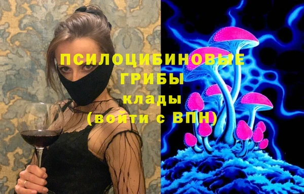 стафф Новодвинск