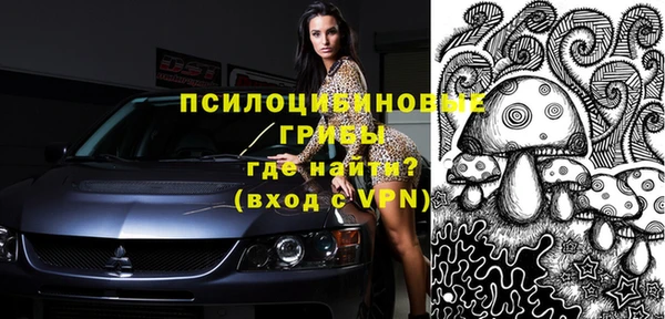 МДПВ Новозыбков