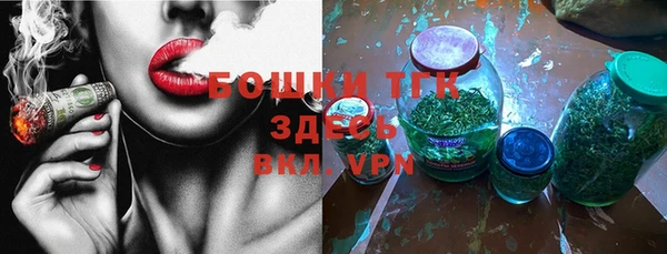 МДПВ Новозыбков