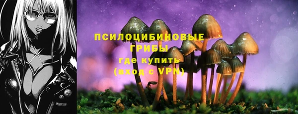 mdpv Нея