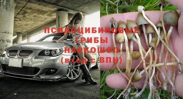 МДПВ Нефтегорск