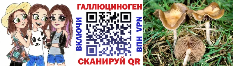 ссылка на мегу онион  Новая Ляля  Галлюциногенные грибы MAGIC MUSHROOMS 